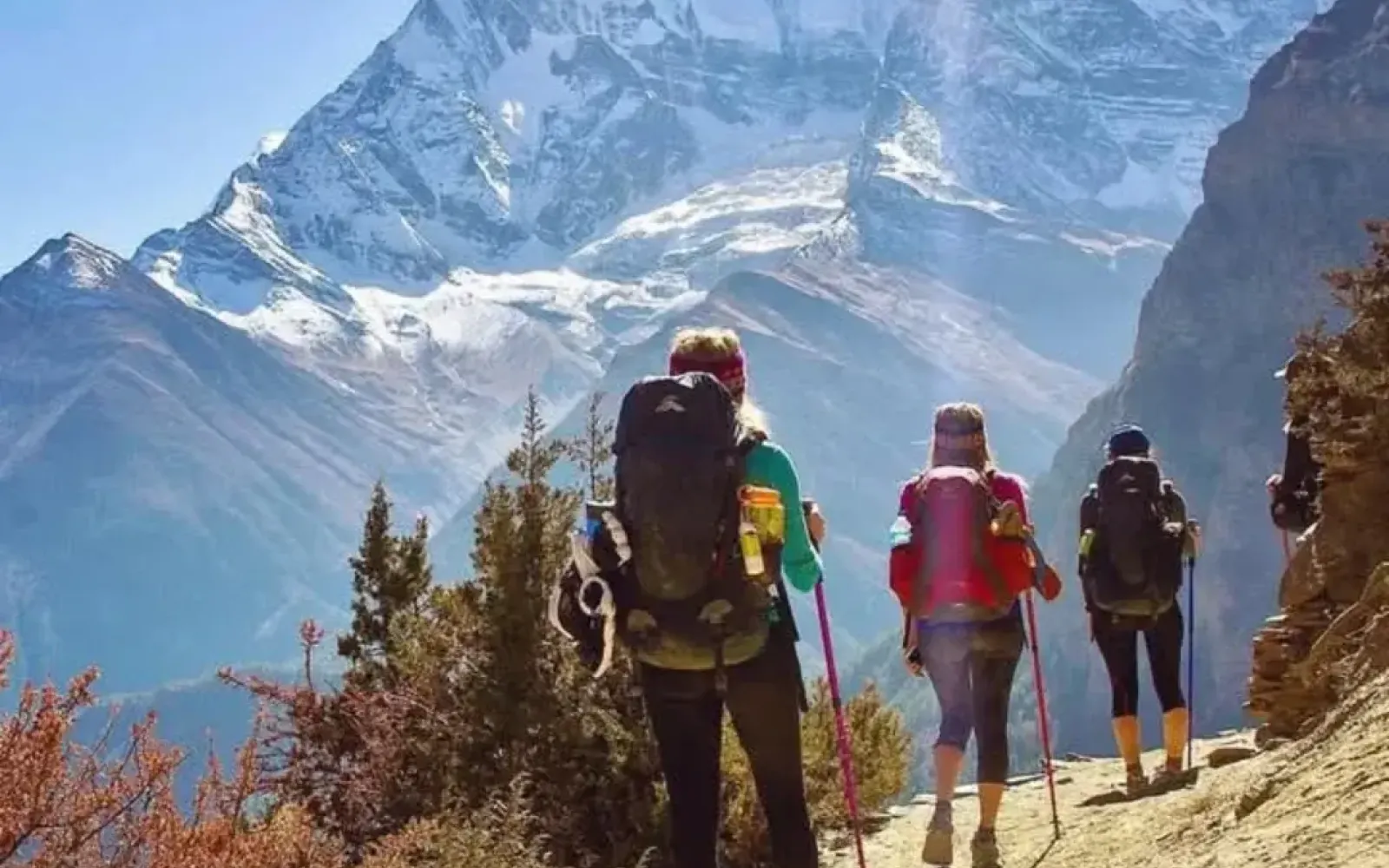 Trekking vs Hiking: Key Differences You Need to Know for Your Next Adventure