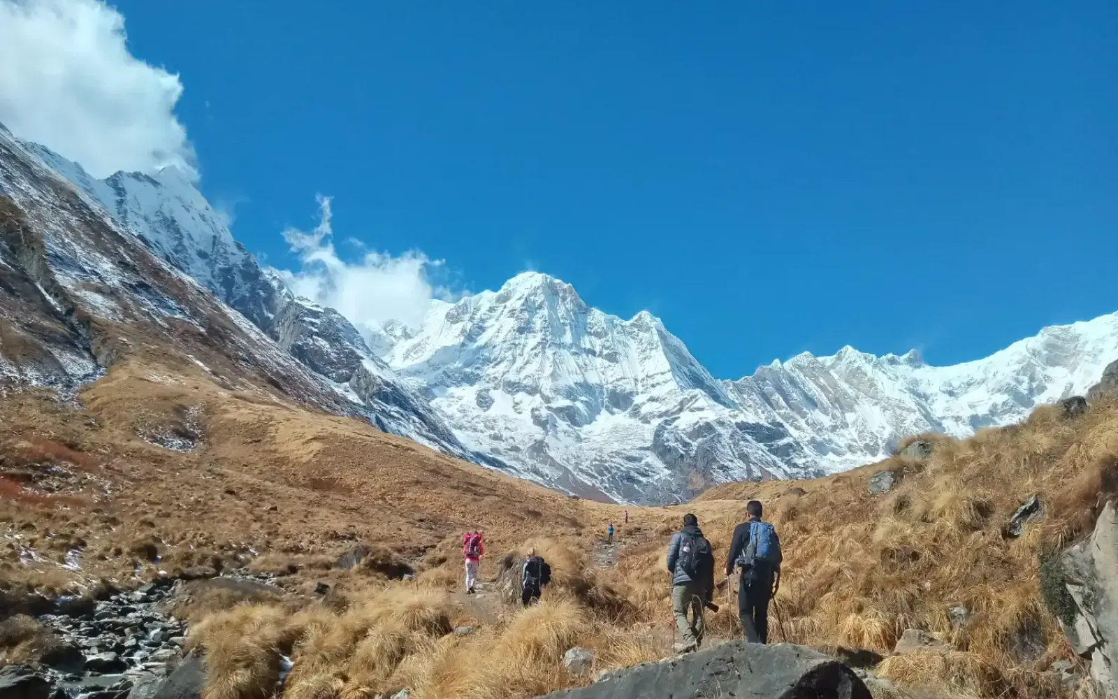 Short Annapurna Base Camp Trek: Complete Guide for Quick Adventure